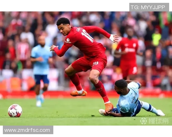 加克波在赛季中的崛起与未来潜力分析